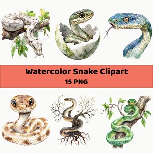 Puede incluir: Una colección de ilustraciones de serpientes en acuarela que muestran varias especies en diferentes poses, incluyendo serpientes en ramas de árboles, saliendo de un huevo y enroscadas. El texto Watercolor Snake Clipart 15 PNG aparece en el centro.