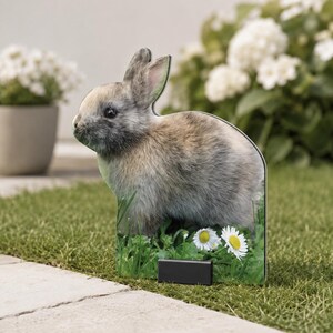 Coniglio di metallo da giardino | Decorazione da giardino e segna aiuola resistenti alle intemperie | Decorazione per vasi di fiori | Regalo per giardinieri | Prodotto in Germania