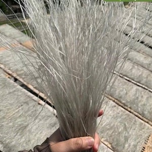 May include: A bundle of long, thin, white fibrous strands gathered together at the base. The individual strands are flexible and wispy, fanning out at the top to create a textured, airy appearance. The material appears light and delicate.