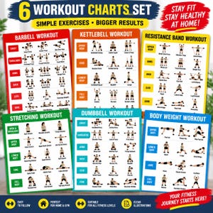 Op de afbeelding: Een set van zes kleurrijke trainingsposters met illustraties van oefeningen voor halter, kettlebell, weerstandsband, stretchen, dumbbell en lichaamsgewicht. Elke poster bevat tekstlabels voor spiergroepen en specifieke bewegingen.