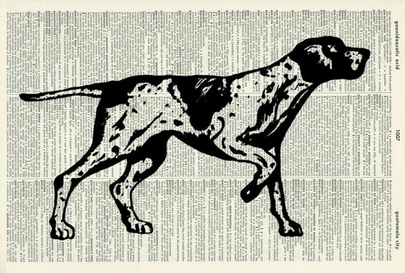 Pointer Dog Art Print Vintage Dictionary Page Print 79D | Etsy