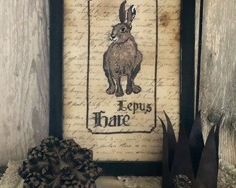 Hase PDF - Spirit of the woods Serie
