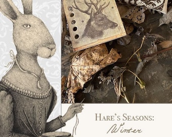 Hare's Seasons: WINTER PDF BOOK