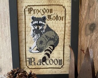 Raccoon PDF - Spirit of the woods series