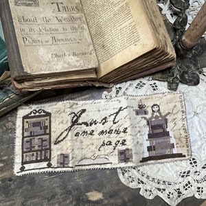Puede incluir: Un sampler de punto de cruz con un tema de libro vintage. El sampler presenta una pila de libros con el texto "Just one more page" y una estantería con libros. El sampler está enmarcado con un borde de encaje blanco.