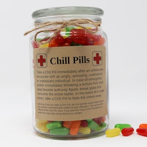 Personalized Chill Pill Gifts, Pick a Theme, Funny Kraft Paper Labels, Stickers, Labels for Jars Student Edition