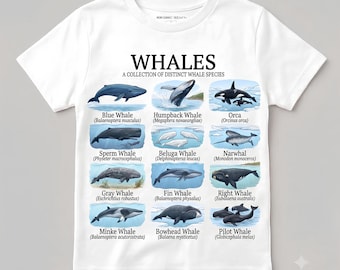 Whales T-Shirt for Kids | Illustrated Species Collection | Fun Ocean Gift for Young Explorers