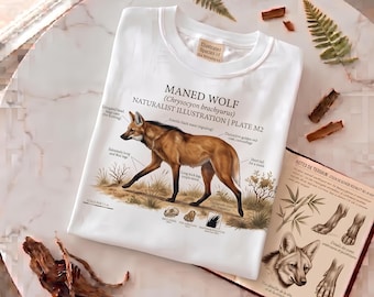 Maned Wolf T-Shirt | Naturalist Illustration Plate | Wildlife & Field Guide Gift