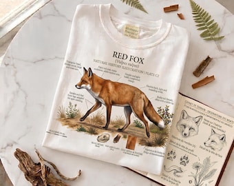 Red Fox Anatomy T-Shirt | Vulpes Vulpes Natural History Illustration | Wildlife Gift for Nature Lovers