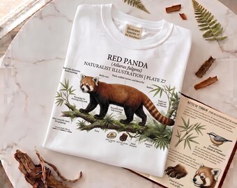 Red Panda T-Shirt | Naturalist Illustration Plate | Wildlife & Field Guide Gift