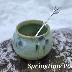May include: A small, round, ceramic bowl with a green and blue glaze, and a silver spoon with a leaf design. The bowl is labeled "Springtime Pool". The bowl is sitting on a rock with snow in the background.
