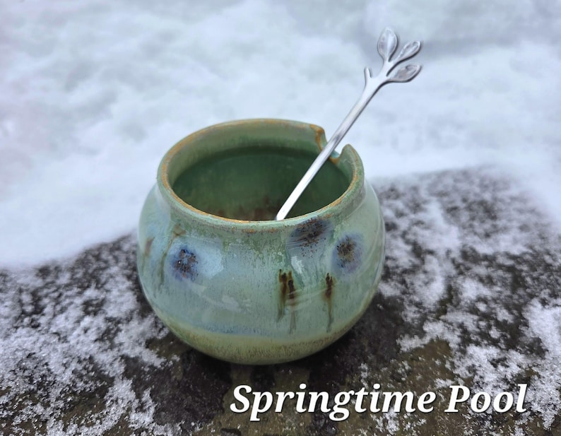 May include: A small, round, ceramic bowl with a green and blue glaze, and a silver spoon with a leaf design. The bowl is labeled "Springtime Pool". The bowl is sitting on a rock with snow in the background.