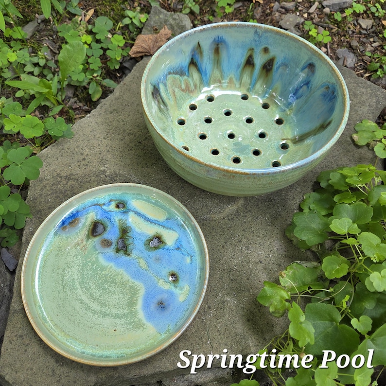 Berry Bowl (with Matching Drip Tray) Springtime Pool
