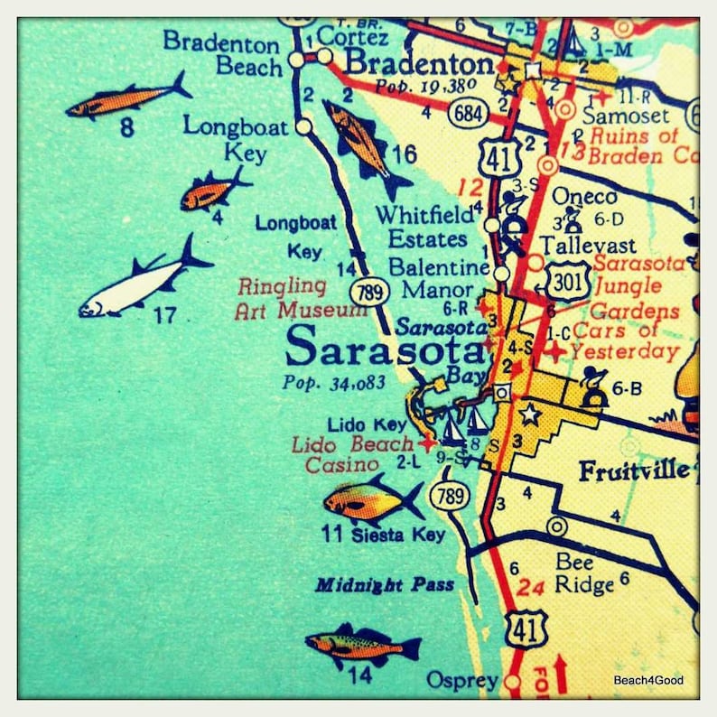 Sarasota Siesta Key Florida map - Il 794xN.2171957080 Hyyp