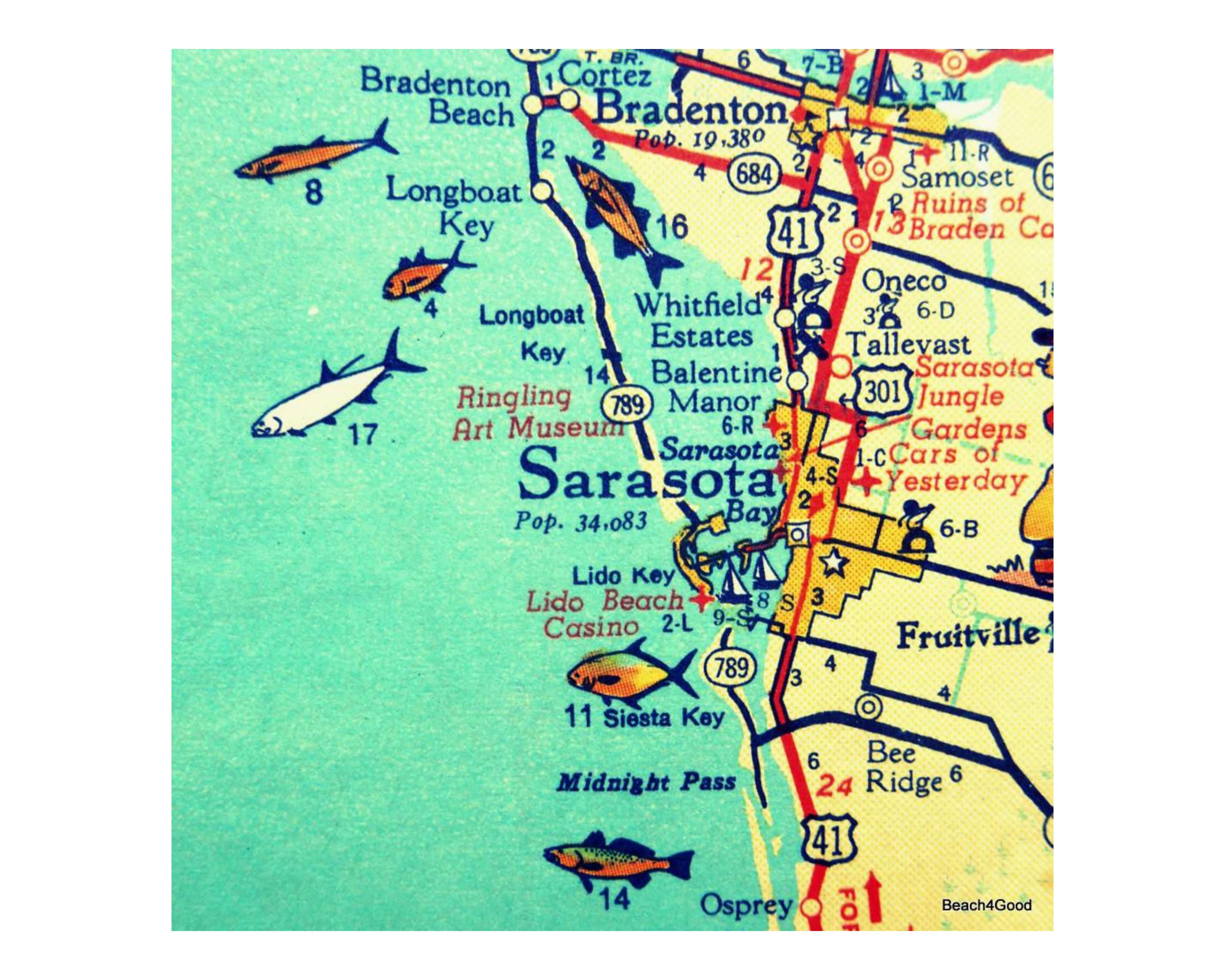 Sarasota Map Print Sarasota Florida Home Decor 11x14 or hq nude pic