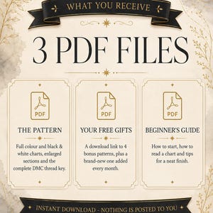 Może przedstawiać: Cyfrowa infografika z tytułem WHAT YOU RECEIVE oraz napisem 3 PDF FILES. Zawiera trzy prostokątne ramki z ikonami PDF oraz tekst opisujący THE PATTERN, YOUR FREE GIFTS i BEGINNER'S GUIDE dotyczące haftowania.
