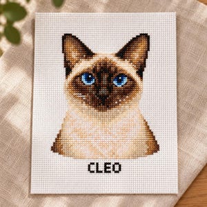 May include: A cross-stitch embroidery on white Aida fabric featuring a Siamese cat with bright blue eyes, dark brown ears and face mask, and a cream-colored chest. The name CLEO is stitched in black capital letters below the cat portrait.