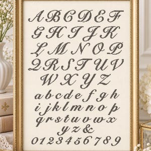 May include: A framed cross-stitch sampler featuring a complete alphabet in both uppercase and lowercase cursive letters, along with an ampersand and the numbers zero through nine, all stitched in dark gray thread on a light cream fabric background.