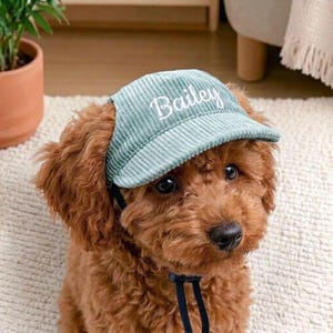 May include: A light sage green corduroy pet hat featuring the name Bailey embroidered in white cursive script on the front. The hat has a structured brim and a black adjustable chin strap to secure it comfortably around the head of the animal.