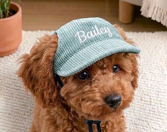 May include: A light green corduroy pet hat featuring the name Bailey embroidered in white script lettering on the front. The hat includes a black adjustable chin strap and is worn by a brown curly-haired dog with dark eyes and a black nose.