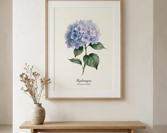 Stampa botanica ad acquerello di ortensia blu, ideale per studio di erbario e decorazioni in stile rustico (download digitale).