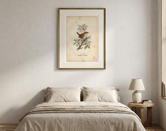 Stampa antica di un scricciolo, piatto botanico con fiori di ciliegio, decorazione murale in stile Chateaucore (download digitale)