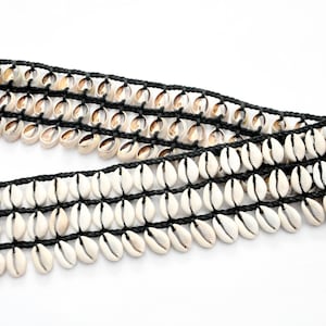 Cowrie Shell Belt