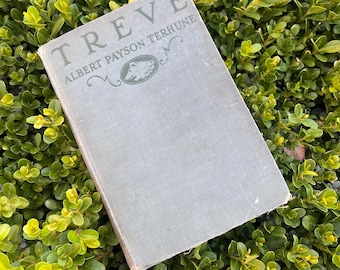 1924 - Treve - by Albert Payson Terhune