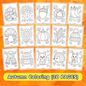 May include: A collection of 20 autumn-themed coloring pages featuring black and white line art of leaves, trees, an acorn, a chestnut, rain boots, a mushroom, a sunflower, a pumpkin, corn, a knit hat, a scarf, a sweater, a fox, a hedgehog, and a squirrel.