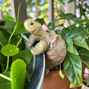 Può includere: Una statuetta di tartaruga marrone e bronzo con guscio testurizzato e pelle dettagliata, progettata per essere appesa al bordo di un vaso. La tartaruga ha un viso chiaro, occhi scuri e un guscio a motivi, posizionata sul bordo di un vaso blu.