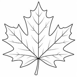 Peut inclure: Un dessin au trait noir et blanc représentant une feuille d'érable. L'illustration présente une tige centrale et des nervures symétriques se ramifiant en cinq lobes distincts et pointus aux bords dentelés, sur un fond blanc uni.