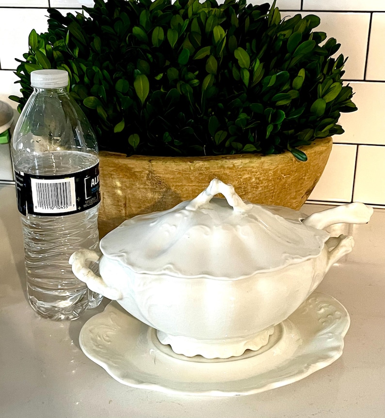 May include: A white ceramic soup tureen with a lid and matching saucer. The tureen has ornate detailing and handles. A clear plastic water bottle and a large green plant in a wooden pot are also in the image.