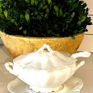 May include: A white porcelain soup tureen with a lid and a matching saucer. The tureen has handles and a spoon rest. Behind it is a large wooden bowl filled with green foliage, creating a classic, elegant aesthetic.