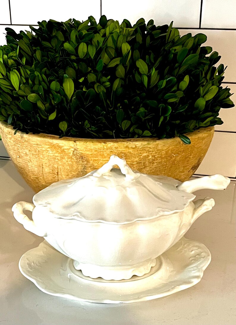 May include: A white porcelain soup tureen with a lid and a matching saucer. The tureen has handles and a spoon rest. Behind it is a large wooden bowl filled with green foliage, creating a classic, elegant aesthetic.