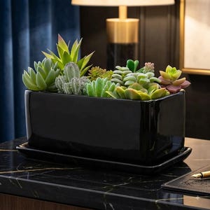 Modern Ceramic Rectangle Planter | 10 Inch Succulent Pot with Tray