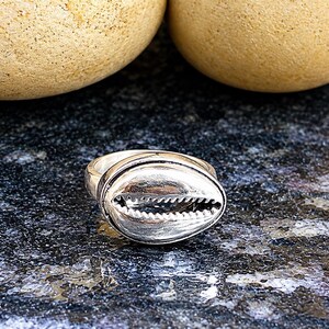 Può includere: Un anello color argento caratterizzato da un design a forma di conchiglia di ciprea come elemento centrale. L'elemento a conchiglia presenta una finitura metallica liscia con un'apertura centrale seghettata che imita l'aspetto naturale.