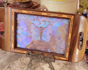Bandeja de servir vintage rara em madeira com arte em asa de borboleta e incrustações iridescentes, estilo brasileiro, meados do século XX.