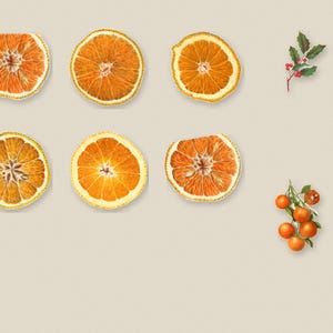 Printable Dried Orange Garland, Paper Christmas Garland with Holly and Kumquats, Vintage Botanical Mantel Decor, Digital Download image 3