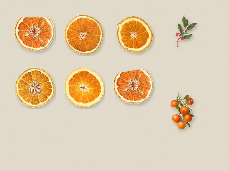 Printable Dried Orange Garland, Paper Christmas Garland with Holly and Kumquats, Vintage Botanical Mantel Decor, Digital Download image 3