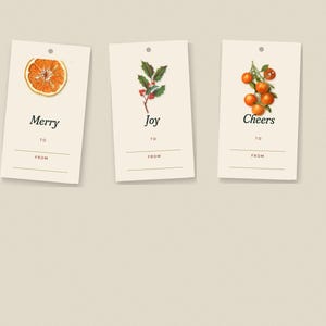 May include: Three rectangular cream-colored gift tags with a hole at the top. The first tag features a sliced orange and the word Merry. The second tag shows holly berries and the word Joy. The third tag displays oranges and the word Cheers.