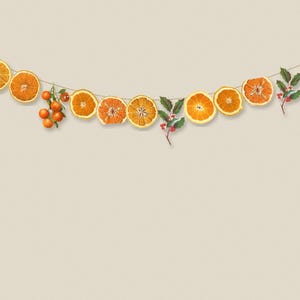 Printable Dried Orange Garland, Paper Christmas Garland with Holly and Kumquats, Vintage Botanical Mantel Decor, Digital Download
