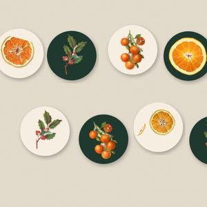 May include: A set of seven circular coasters featuring botanical illustrations. The designs include orange slices, clusters of oranges on branches, and holly sprigs with red berries, set against either a cream or a dark green background.