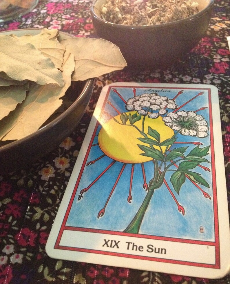 The Herbal Tarot One Tarot Card Reading Etsy