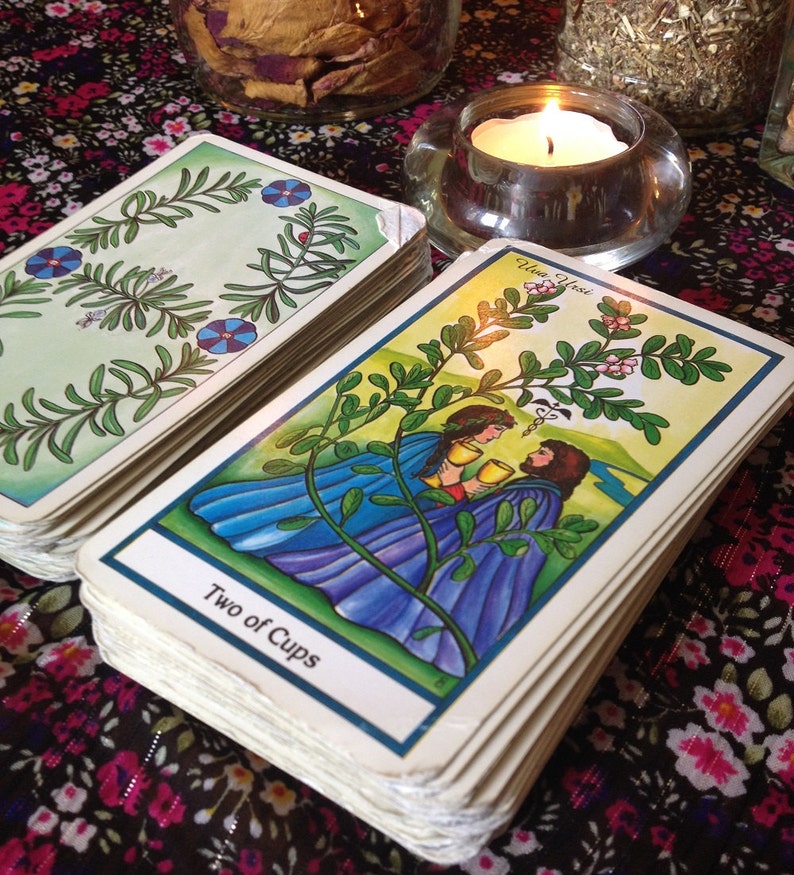 The Herbal Tarot One Tarot Card Reading Etsy