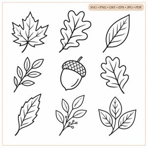 May include: A collection of nine black and white line art illustrations featuring various autumn leaves, a sprig with berries, and a single acorn. The text SVG PNG DXF EPS JPG PDF is visible in the top right corner of the digital graphic design.