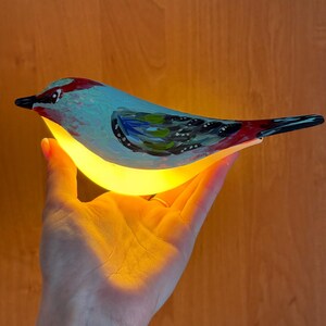 Handbemalte Vogellampe – Wiederaufladbares LED-Nachtlicht, funktionales Kunstdekor