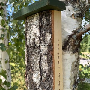 May include: A rectangular insect hotel featuring a natural birch bark front panel, a smooth light-colored wooden side panel with a vertical row of drilled circular holes of varying sizes, and a dark green painted wooden roof overhang.
