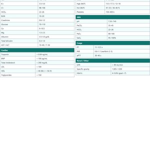 May include: A white reference chart titled NurseBrainCo Normal Lab Values &mdash; Quick Reference. The document features organized tables with medical data for CMP, Metabolic, Cardiac, CBC, ABG, Coags, and Renal categories, using dark teal headers.