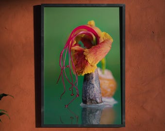 Botanische Assemblage-Druckgrafik, surreales Stillleben – „Hesperideische Offenbarung“, Kollektion „Organische Resonanzen“