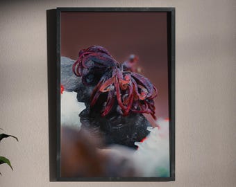 Botanischer Assemblage-Druck, surreales Stillleben – „Schreckliche Anmut“, Kollektion „Organische Resonanzen“